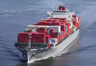 Alphaliner 今年新增运力和集装箱船数量将创纪录,未来三年供需仍将失衡运价难言乐观